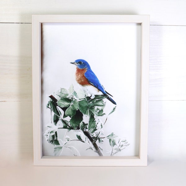 Bluebird Wall Art Etsy