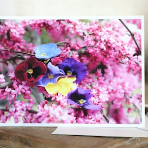 Purple Flowering Tree Stationery Set | Redbud Tree Notecards with Envelopes | All Occasion Blank Cards with Tree Blossoms