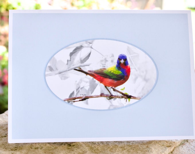 Embossed Note Card Painted Bunting • Bird Stationery Set w/ Envelopes • Blank Inside • Bird Photography - 4.5" x 6.25" Notecards (Set of 8)