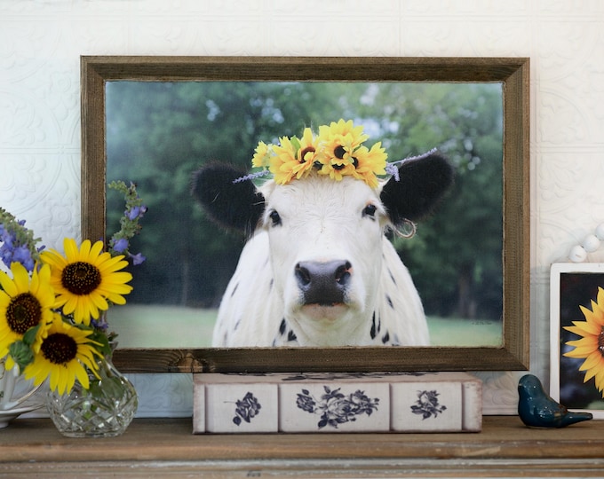Framed Cow Canvas Picture • Munchie in Flowers Wall Canvas • Cute Mini Cow Art • Country Cow Wall Art • La Pea Patch Photography