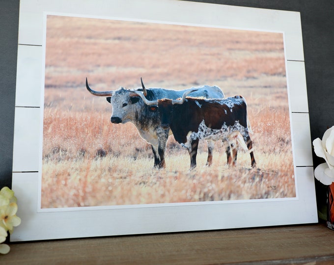 Prairie Cow Picture of Longhorn Cattle Pair on Canvas Wall Art