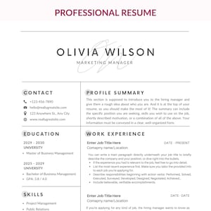 Professional Resume Template for MS Word, Mac Pages, Google Docs | Resume with Border line, Modern Resume/CV Template, Instant Download
