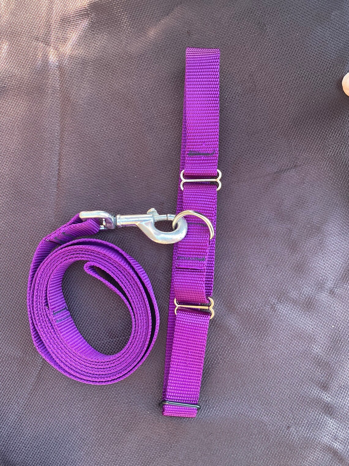 1 Martingale Collar Leash Sets Etsy