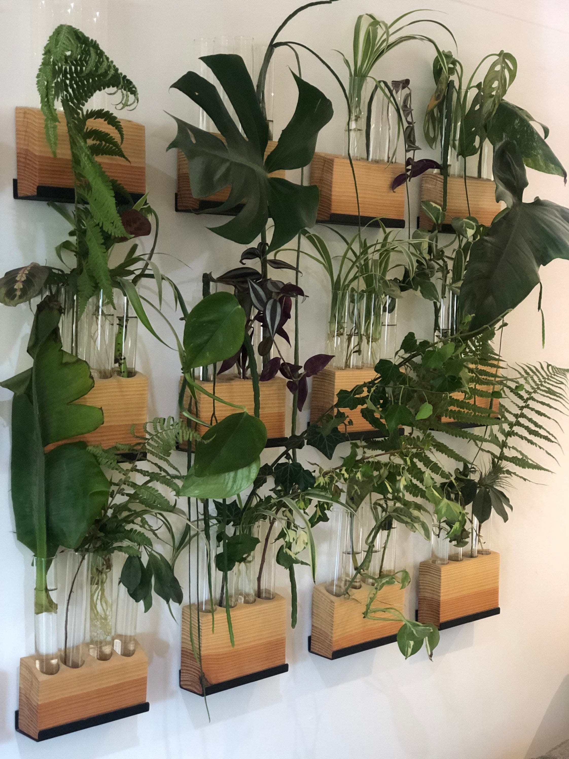 Propagation station test tube wall art Etsy