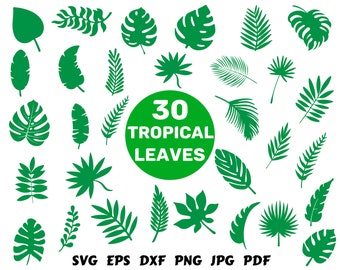 Download Tropical Leaf Svg Etsy