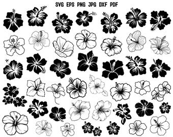 Hibiskus SVG | Hibiskus Silhouette | Blumen SVG | Hawaii Hibiskus Muster | Tropisch SVG | Tropische Blume | Sommer geschnitten Datei | Blumen Clipart