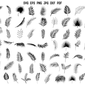 May include: A collection of 50 black and white palm leaf illustrations. The leaves are in various shapes and sizes, and some are more detailed than others. The illustrations are perfect for use in crafting, scrapbooking, or digital design.