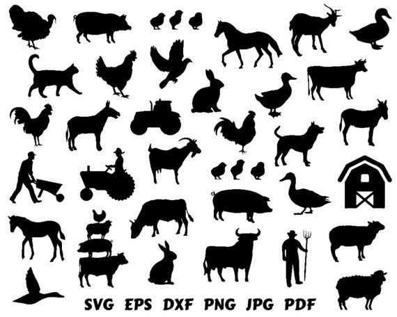 Farm Animal Svg Farm Bundle Svg Animal Svg Farm Animal - Etsy