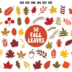 Fall Leaves SVG Bundle | Fall SVG | Autumn SVG | Fall Leaf Cut File | Cricut | Clipart | Commercial Use | Silhouette | Fall Clipart Png Svg