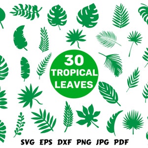 Tropical Leaves SVG | Monstera Leaf SVG | Tropical Leaf Svg | Palm Leaves Svg | Silhouette | Clipart | Jungle Svg | Tropical Party Decor