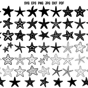 Starfish SVG | Starfish Cricut | Starfish Silhouette | Starfish Clipart | Beach SVG | Ocean Svg | Ocean Life Svg | Summer Svg | Vinyl Decal