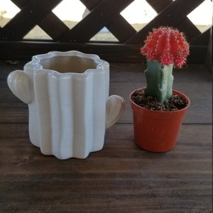 Small cactus design shape pot white planter ceramic