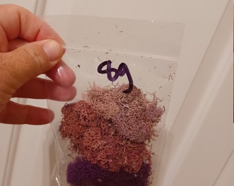 Purple mix reindeer moss 8 grams