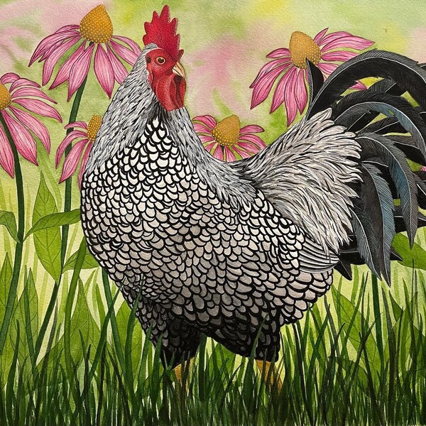 Original Watercolor Painting - Silver Laced Wyandotte Rooster 11 x 14