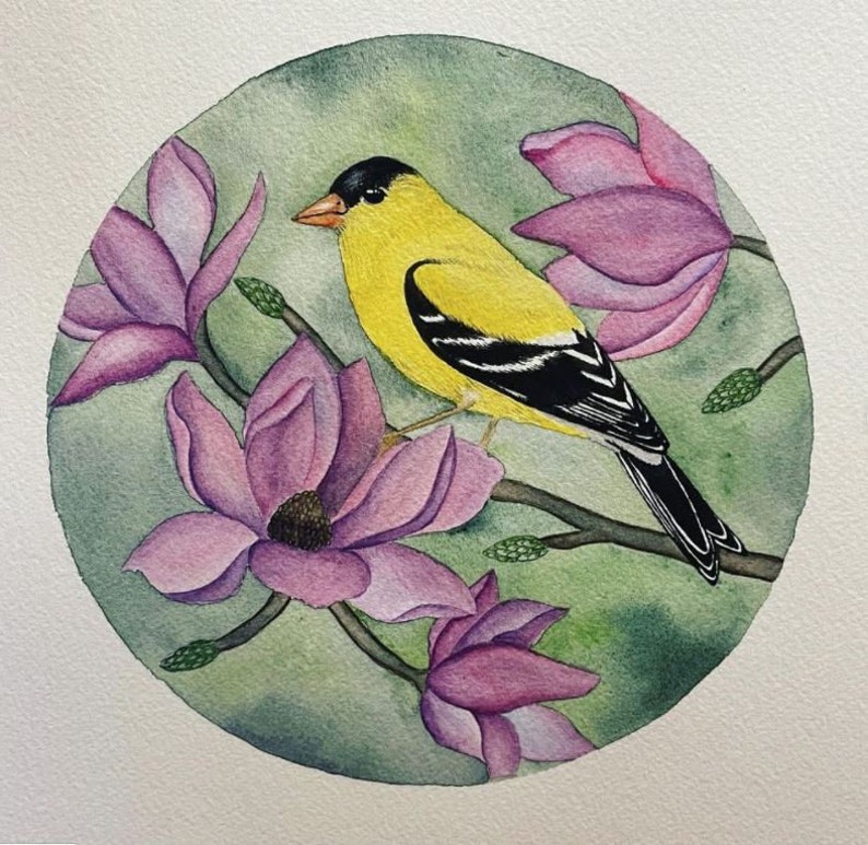 Gold Finch with Magnolias Art Print