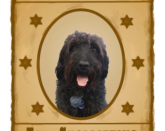 Personalised Wanted Poster For Pets Or People