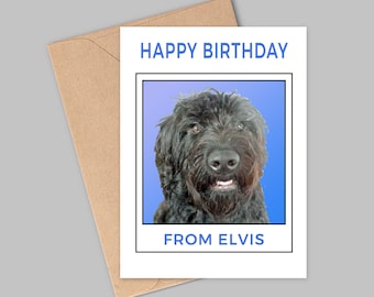 Personalised Card From/To Your Pet, Posted For You, Any Occasion