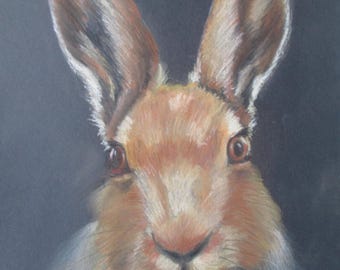 Pastel Sketch Of a Hare, A4 Size, Original Artwork, Hand-Drawn