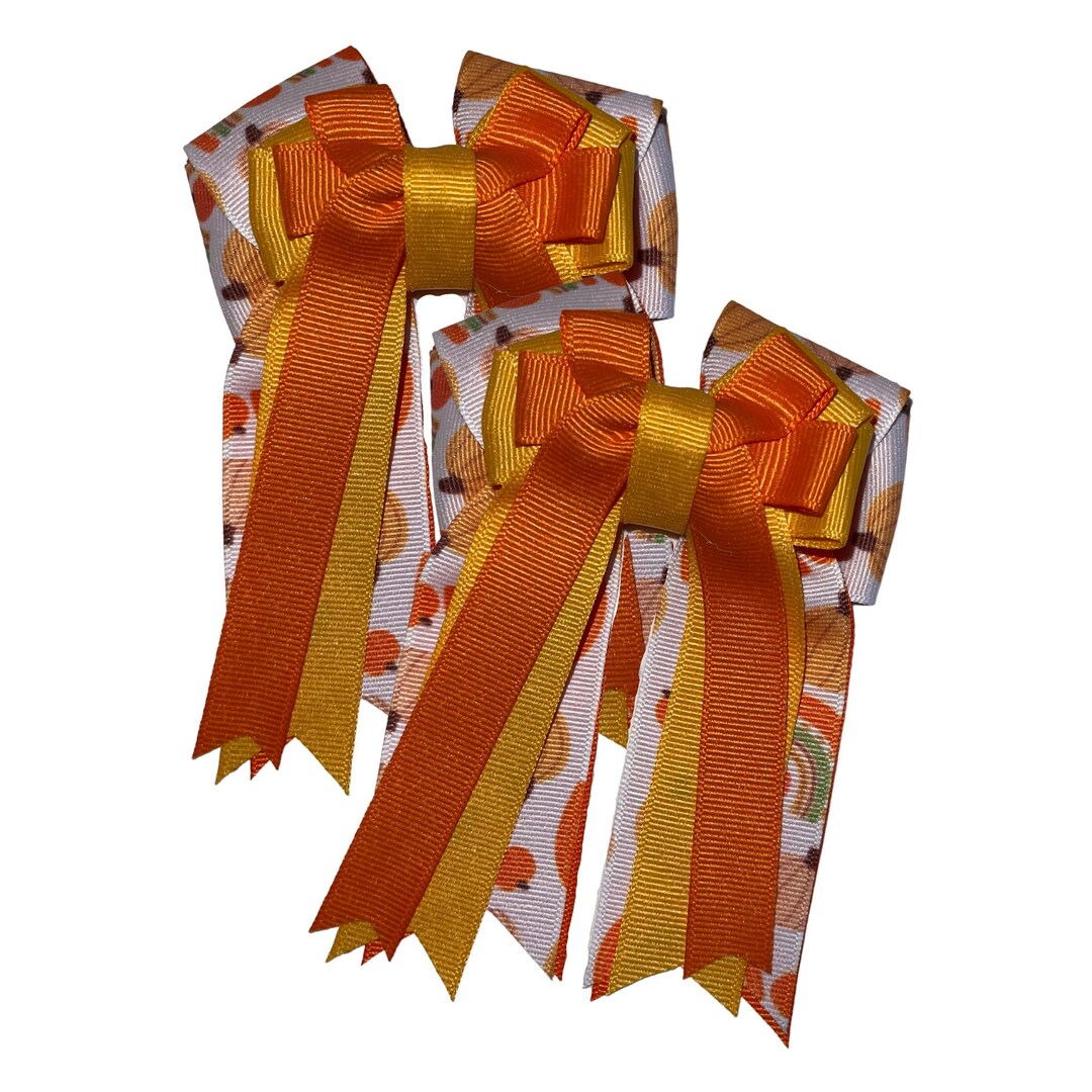 2 Fall Rainbow Bows Horse Show Bows Or Everyday Bows Etsy