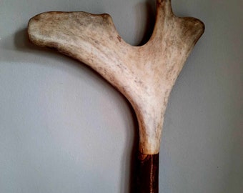 Handmade Thumb Walking Stick - Antler on Varnished Hazel with Brass Ferrule - English/Scottish Hiking Stick