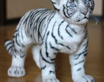 White Wild Cat, Tiger Cub Baby, White Tiger, Wild