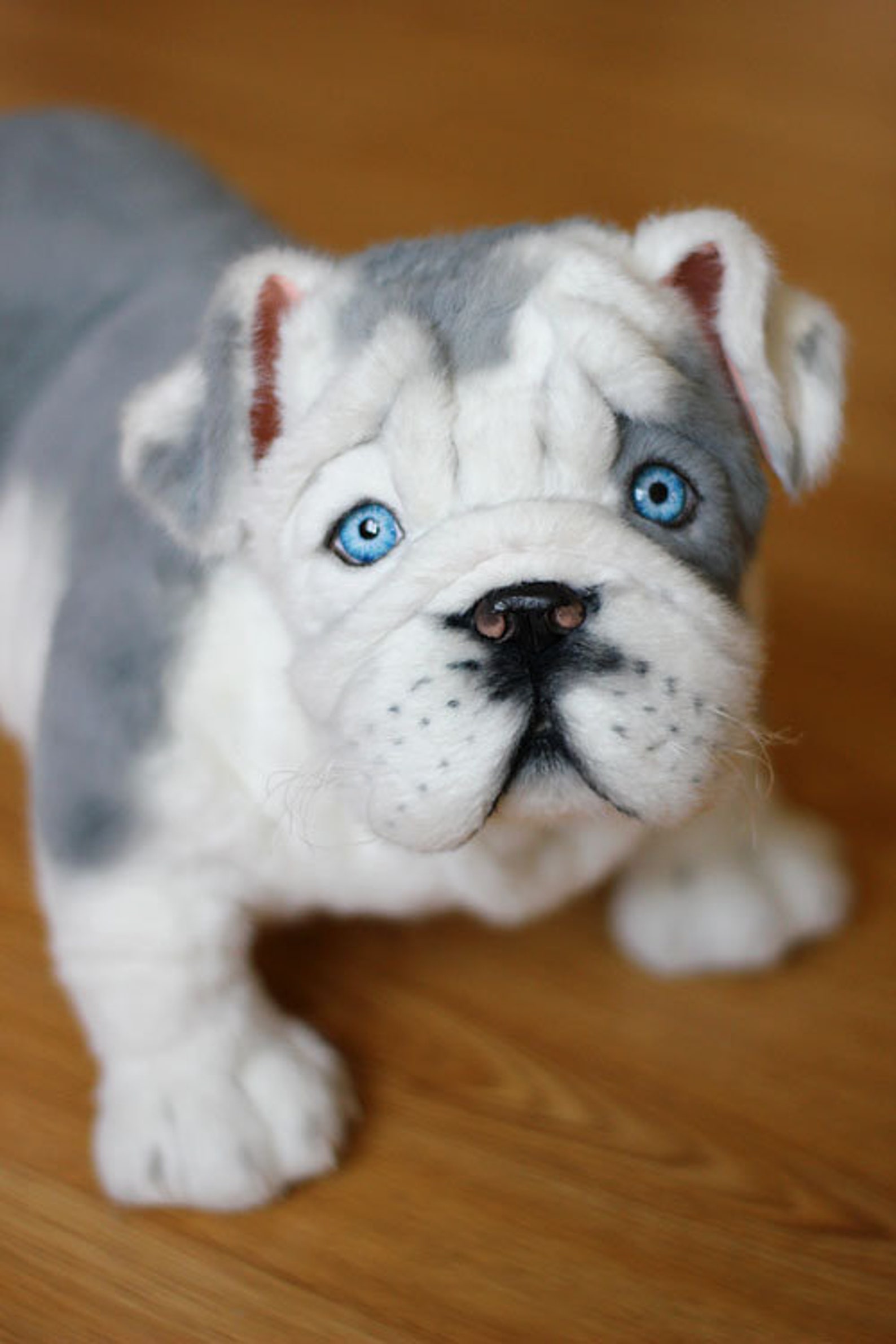 English bulldog puppy Bulldog Realistic Stuffed toy Bulldog Etsy