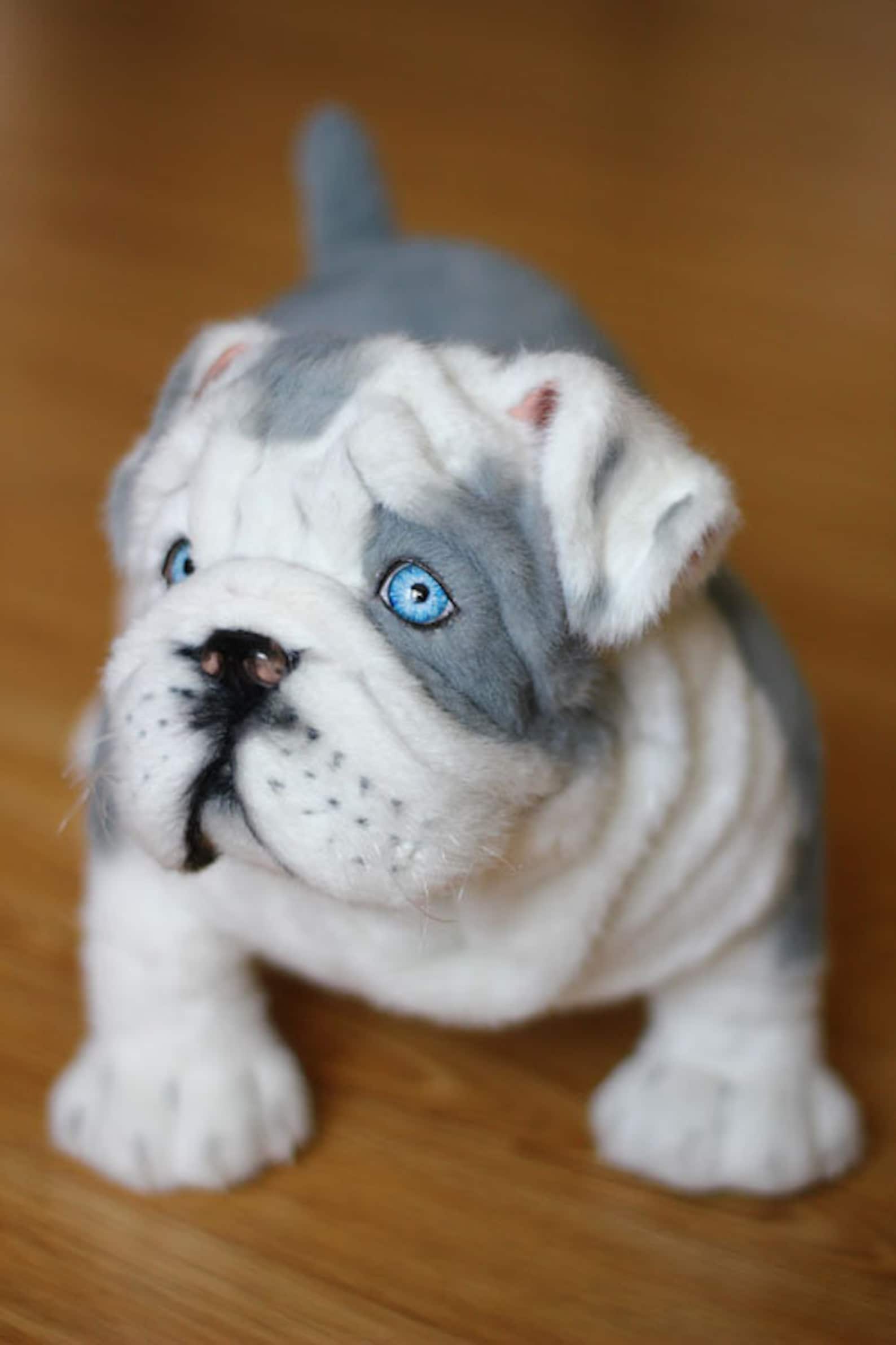 English bulldog puppy Bulldog Realistic Stuffed toy Bulldog Etsy