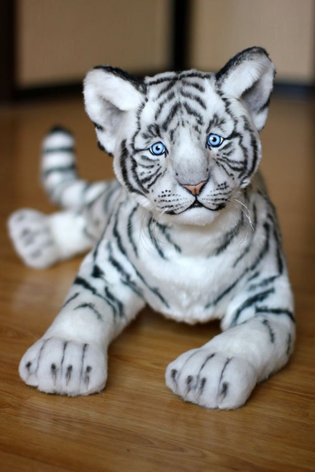 White Tiger57cm. Wild Cat, Tiger Cub Baby, White Tiger, Wild Animals