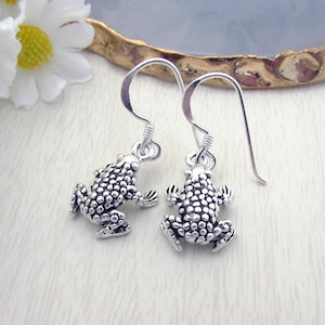 Può includere: Un paio di orecchini a forma di rana in argento. Ogni orecchino presenta un ciondolo a forma di rana dettagliato con pelle strutturata e un gancio pendente. Gli orecchini sono esposti su una superficie chiara con un accento dorato e fiori bianchi.
