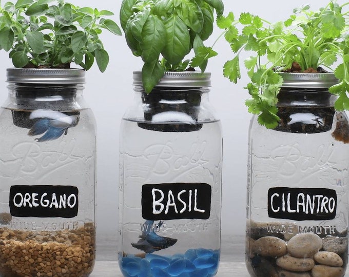 Mason Jar Aquaponics Etsy