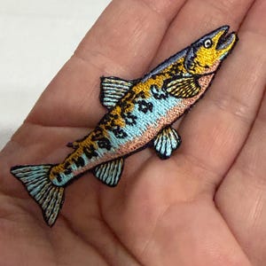 May include: Embroidered patch of a fish with a yellow head, blue and orange body, and blue fins. The fish has a detailed design with various colors and textures, suitable for clothing or accessories.