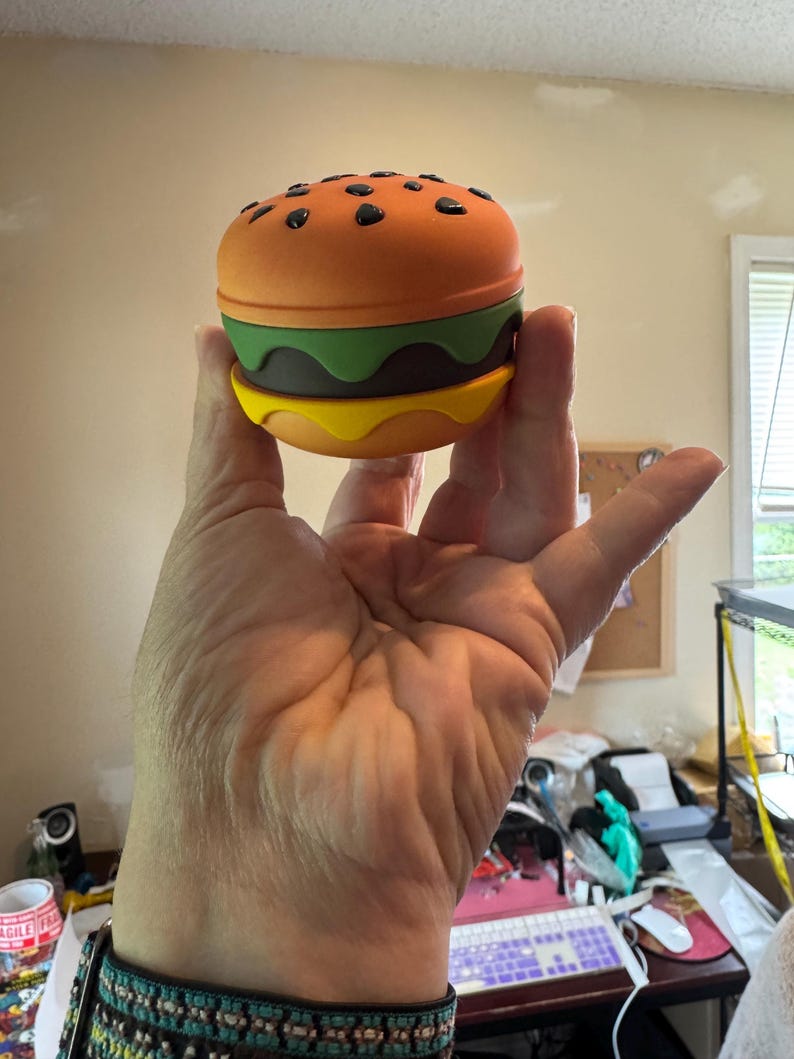 May include: A novelty burger-shaped container with an orange top bun dotted with black seeds, a green lettuce layer, a brown patty, and a yellow cheese bottom bun. The container is held in a hand.