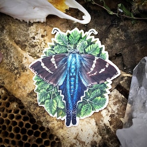Autocollant de papillon de nuit à longue queue | | d’art imperméable à l’eau Autocollant en vinyle brillant de haute qualité pour étuis d’ordinateurs portables, carnets de notes, journaux et plus encore!