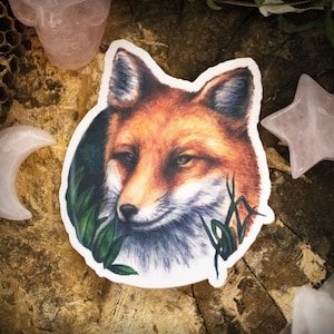 Fox Sticker - Autocollant stratifié de qualité pour ordinateurs portables, carnets de notes, bouteilles d’eau, voitures et plus encore!  Cliquez pour les photos!
