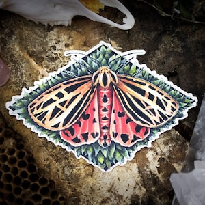 Virgin Tiger Moth Sticker / Stampa artistica impermeabile / Decalcomania in vinile lucido di alta qualità per laptop, quaderni, riviste e altro ancora!