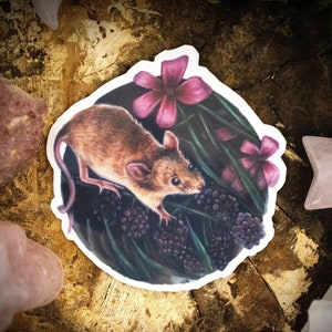 Sticker souris mignon - Sticker plastifié de qualité pour ordinateurs portables, téléphones, journaux et plus encore !  Cliquez pour voir les photos !