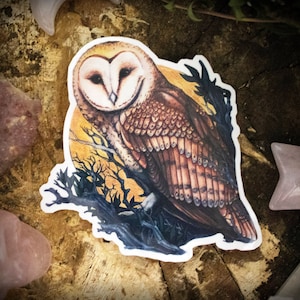 Sticker chouette effraie des clochers - Sticker vinyle de haute qualité pour ordinateurs portables, téléphones, bouteilles d'eau et plus encore !  Cliquez pour voir les photos !