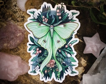 Luna Moth Fancy Sticker, laptop or phone sticker, click for photos!