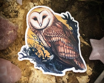 Barn Owl Sticker - High Quality Vinyl Decal Sticker for laptops, phones, water bottles and more!  Click for photos!