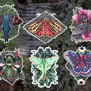 Lot de 6 stickers anti-mites | Sticker autocollant brillant de haute qualité pour téléphones, ordinateurs portables, journaux, même voitures !  Cliquez pour les photos !