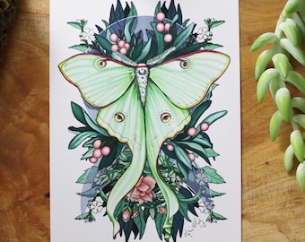 Luna Moth 4x6, 5x7 print, moon moth, lovely detailed artwork for your walls, click for photos!
