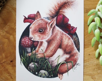 Red Squirrel - 4x6 5x7 art print of cute squirrel for your walls!  Great gift for squirrel fans!