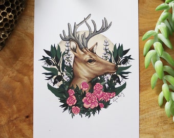 Pretty Floral Deer - 4x6 5x7 postcard print to brighten up your walls for spring!  Click for photos!
