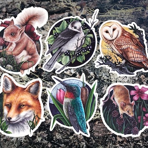 Ensemble de 6 autocollants Forest Creatures - Lot de 6 autocollants en vinyle laminé de haute qualité