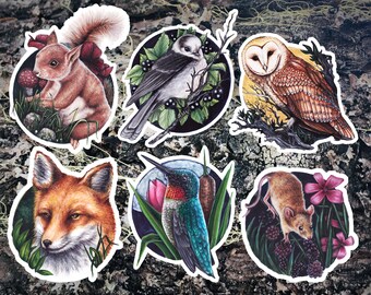 Forest Creatures 6 Piece Sticker Set - Pack of 6 High Quality Laminated Vinyl Stickers