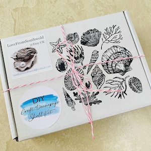 Shell Decoupage Kit – Seashell Coastal Craft for Adults/Children, Party DIY Craft Seto