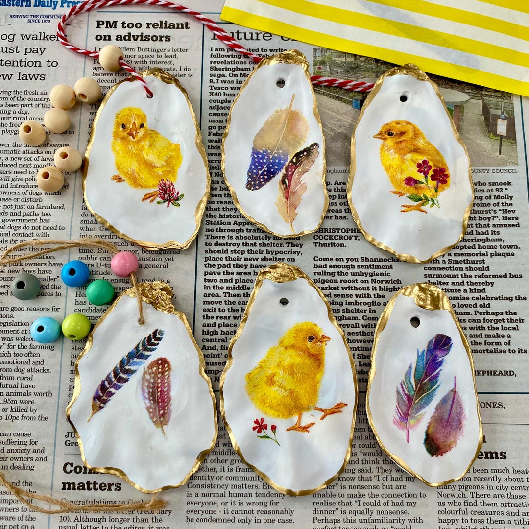 Oyster Shell Decoupage Craft Kit – Spring Chick, Feather Decorations ...
