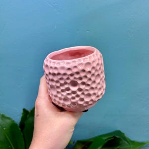 May include: A pink ceramic plant pot with a textured, dimpled surface. The small, round pot has a smooth interior and is held by a hand against a blue background. The planter is designed for small plants and succulents.
