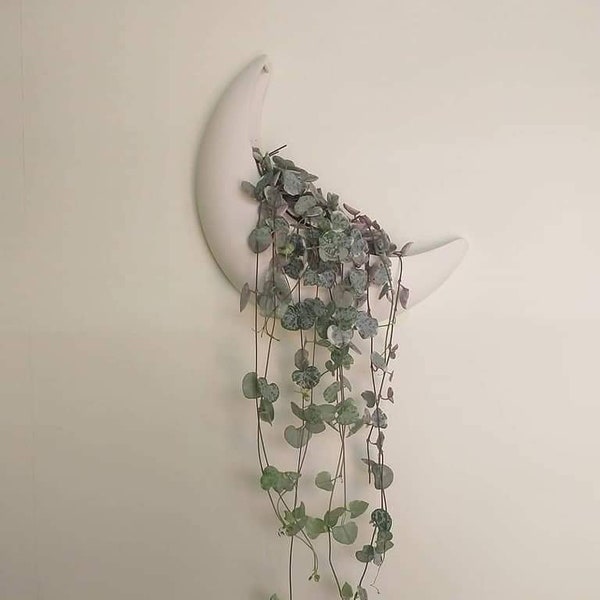 Crescent Moon Wall Plant Pot