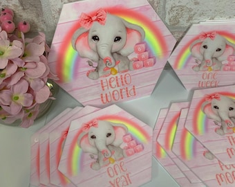 Baby Meilenstein Scheiben Set | Personalisierte Neugeborenen Foto Requisiten | Meilensteinkarten für Neugeborene | Monatliche Baby-Meilensteine | Babypartygeschenk bis 1 Jahr
